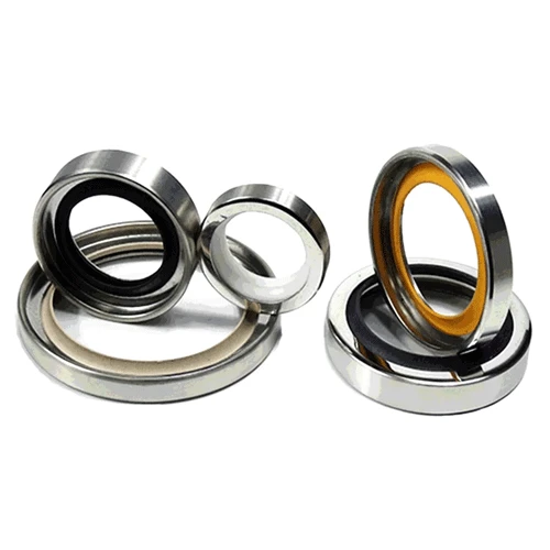 bearing-lip-seal-1